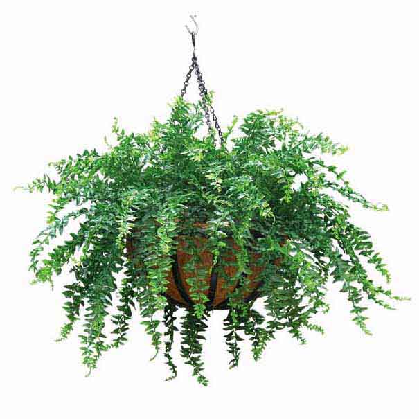 Outdoor Artificial Buckler Fern In Decorative Hanging Basket With Chain
