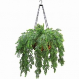 Outdoor Artificial Asparagus Fern in Decorative Hanging Basket with Chain