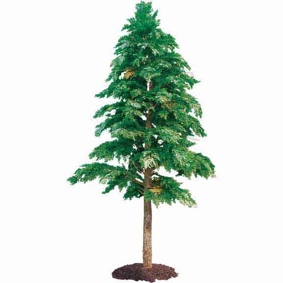Outdoor Artificial Tall Cedar Tree With Natural Trunk : Multiple Sizes