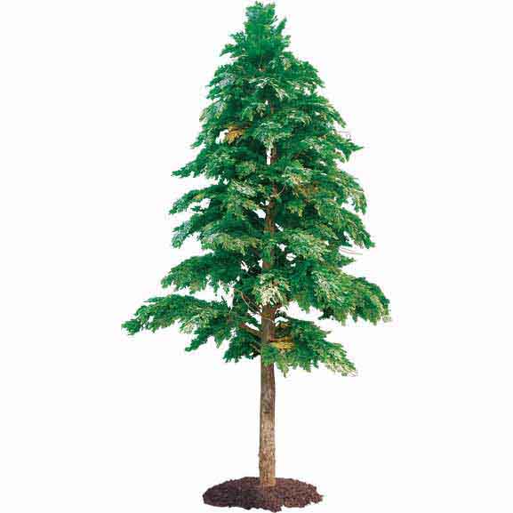 Outdoor Artificial Tall Cedar Tree with Natural Trunk : Multiple Sizes