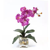 17 inch Artificial Fuchsia Orchid in Glass Vase