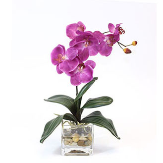 17 inch Artificial Fuchsia Orchid in Glass Vase