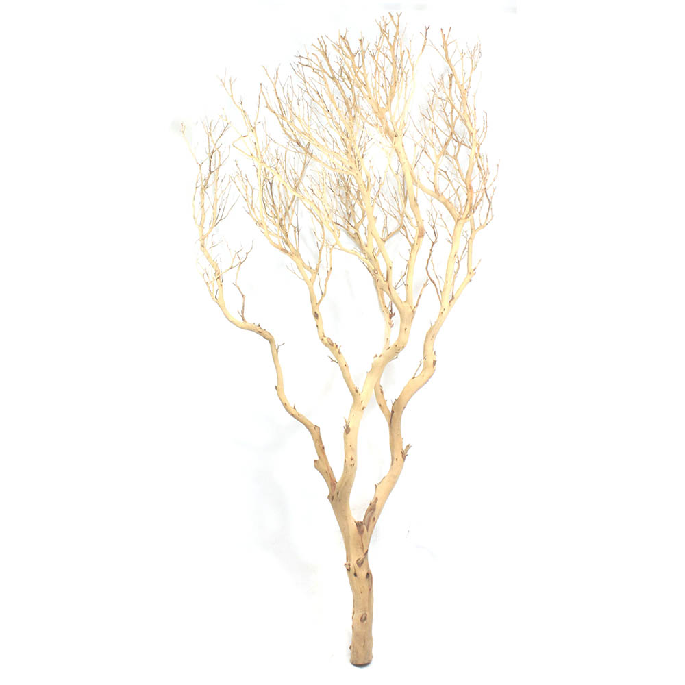 6 foot Sandblasted Manzanita Branch