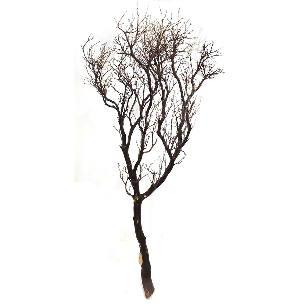 6 Foot Natural Dark Manzanita Branch