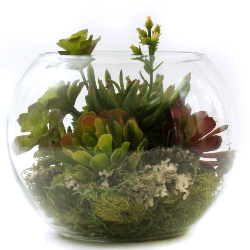 13 Inch Artificial Succulents In Glass Bubble