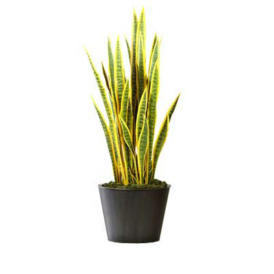 4.8 Foot Artificial Sansevieria In Metal Cylinder
