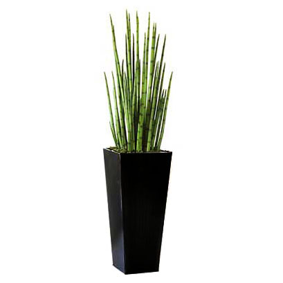 6.6 foot Artificial Snake Grasses in Metal Planter