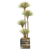 8 foot Preserved Dracaena Tree with 4 Blooms in Wood Planter