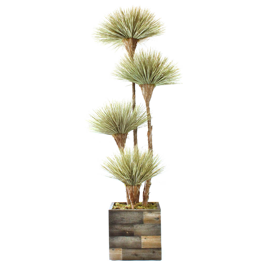 8 Foot Preserved Dracaena Tree With 4 Blooms In Wood Planter