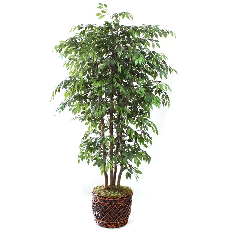 DMD1107 7.4 foot Artificial Ficus Tree sku DMD1107