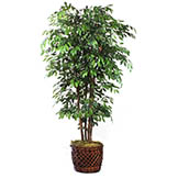 8 foot Elegant Artificial Ficus Tree in Basket