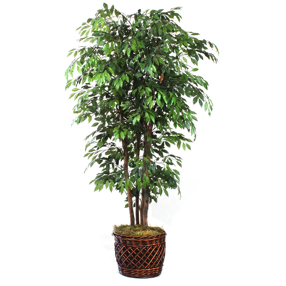 8 foot Elegant Artificial Ficus Tree in Basket