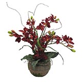 silk cymbidium orchids