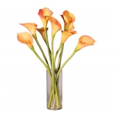 24 inch Natural Touch Peach Calla Lilies in Glass Vase