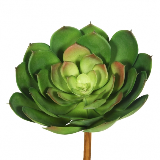 8 inch Cactus Succulent Stem (Set of 3)