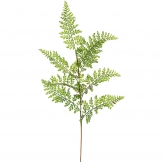 26 inch Fern Spray (Set of 6) - CLOSEOUT