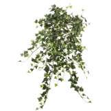 26 inch Variegated Mini Ivy Hanging Bush