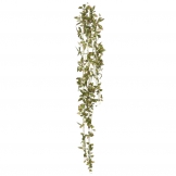 43 inch Red Tipped Hanging Plant
