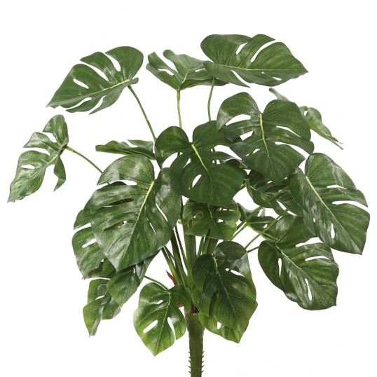 22 inch Split Philodendron Bush | FB172001