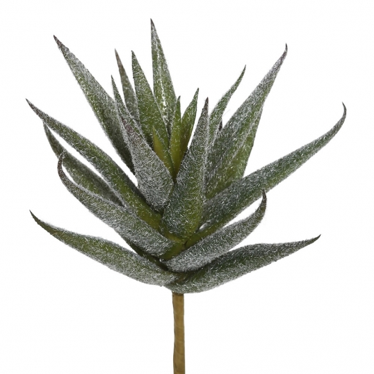 6.5 inch Aloe Vera Succulent (Set of 3)