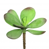 6.5 inch Kalanchoe Pick Succulent (Set of 3) - CLOSEOUT