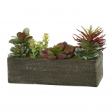 5.25 inch Succulent Arrangement in Rectangle Planter