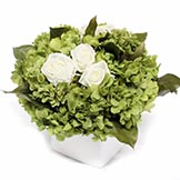 Preserved Rose and Hydrangea Arrangement