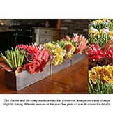 Preserved Modifiable Centerpiece