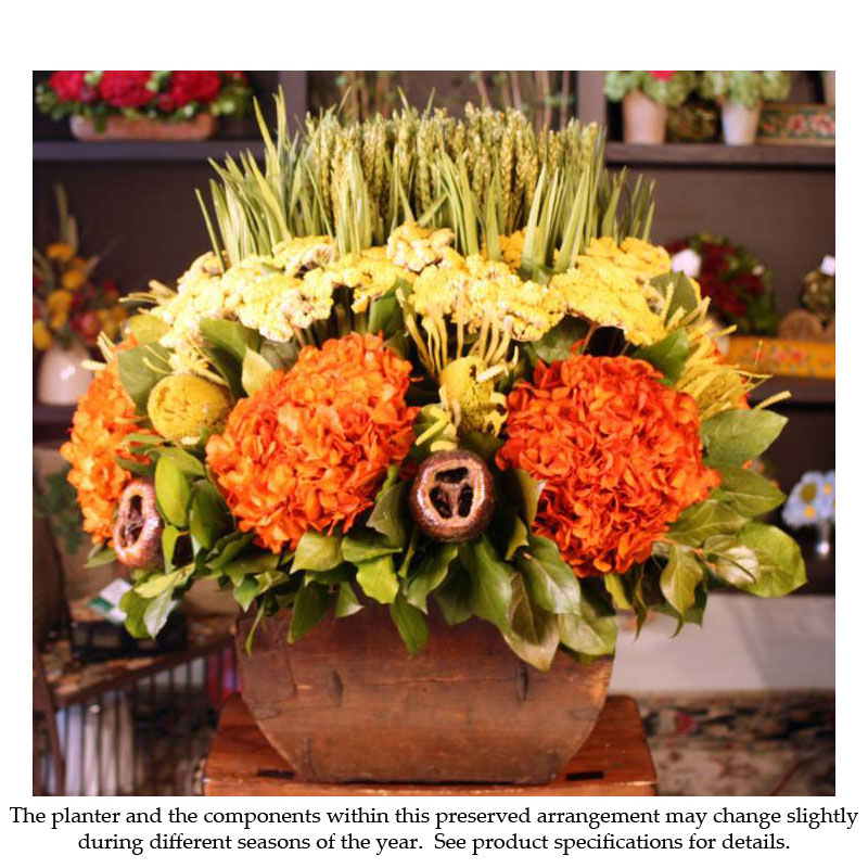 Preserved Autumnal Colored Floral Arrangement