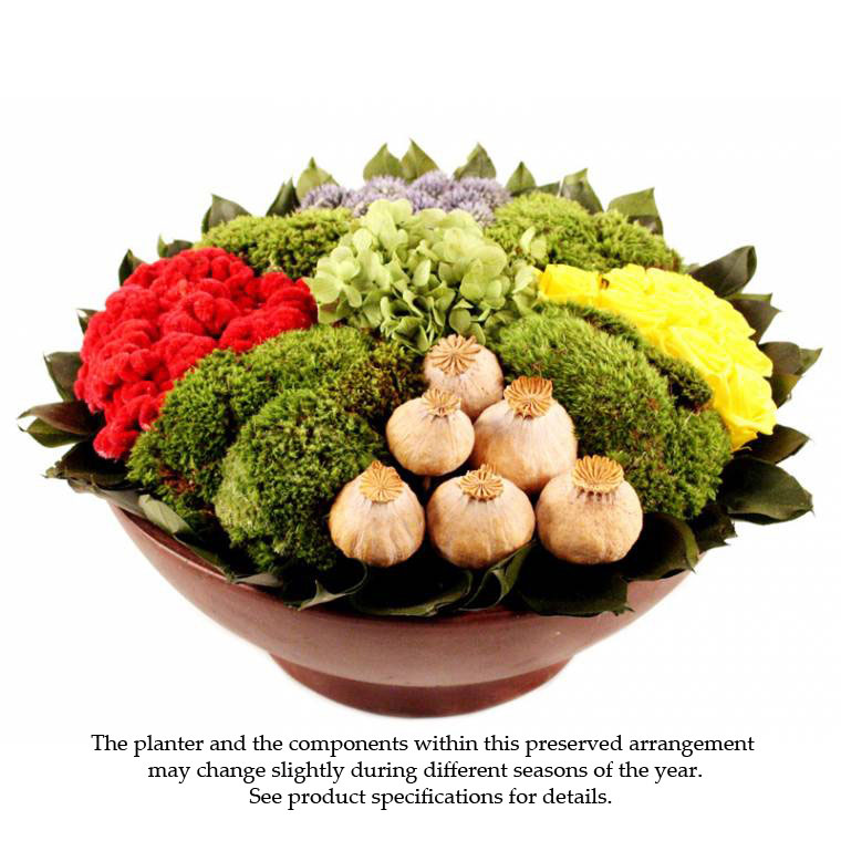 Preserved Bright Bowl Arrangement