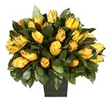 Preserved Protea Arrangement in Urn