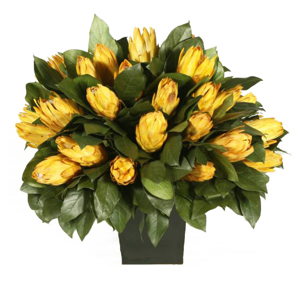 Preserved Protea Arrangement In Urn