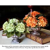 Preserved Hydrangeas in a Decorative Container