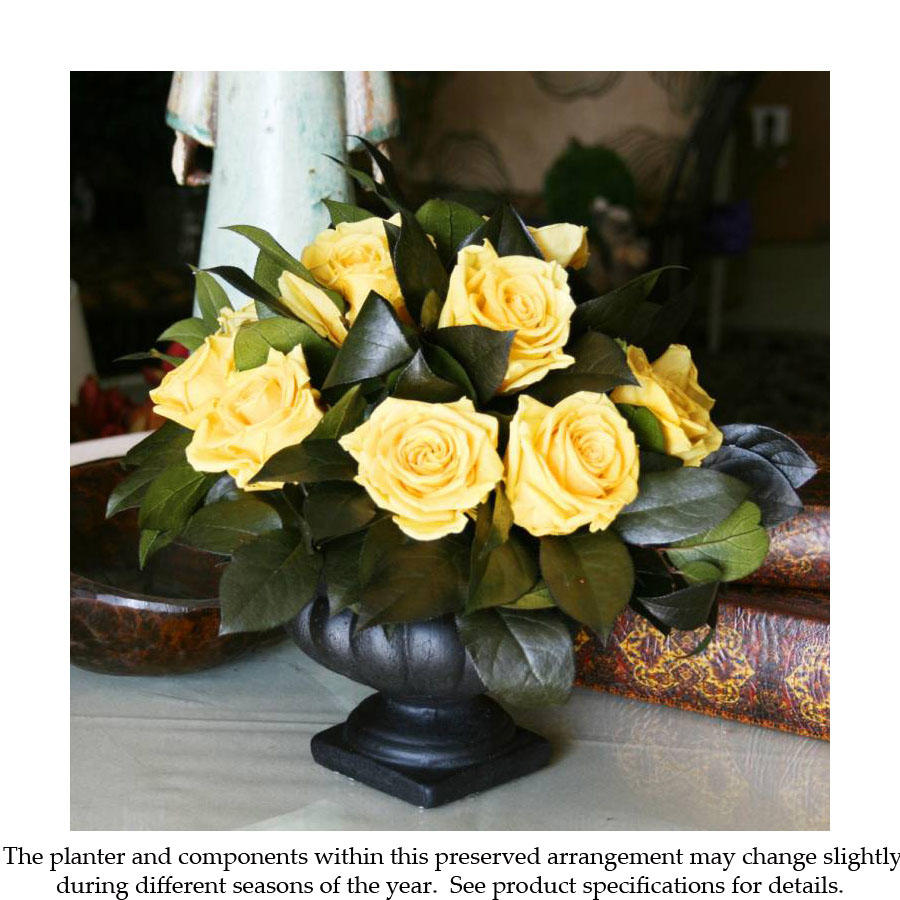 Preserved Roses in Decorative Container