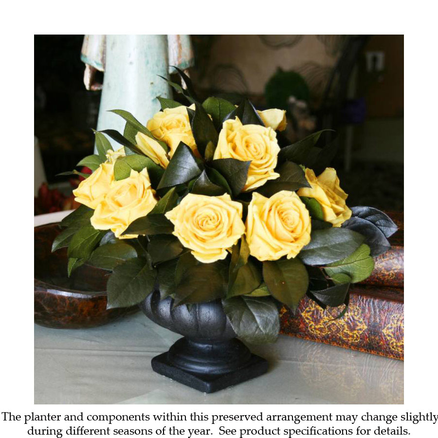 Preserved Roses In Decorative Container