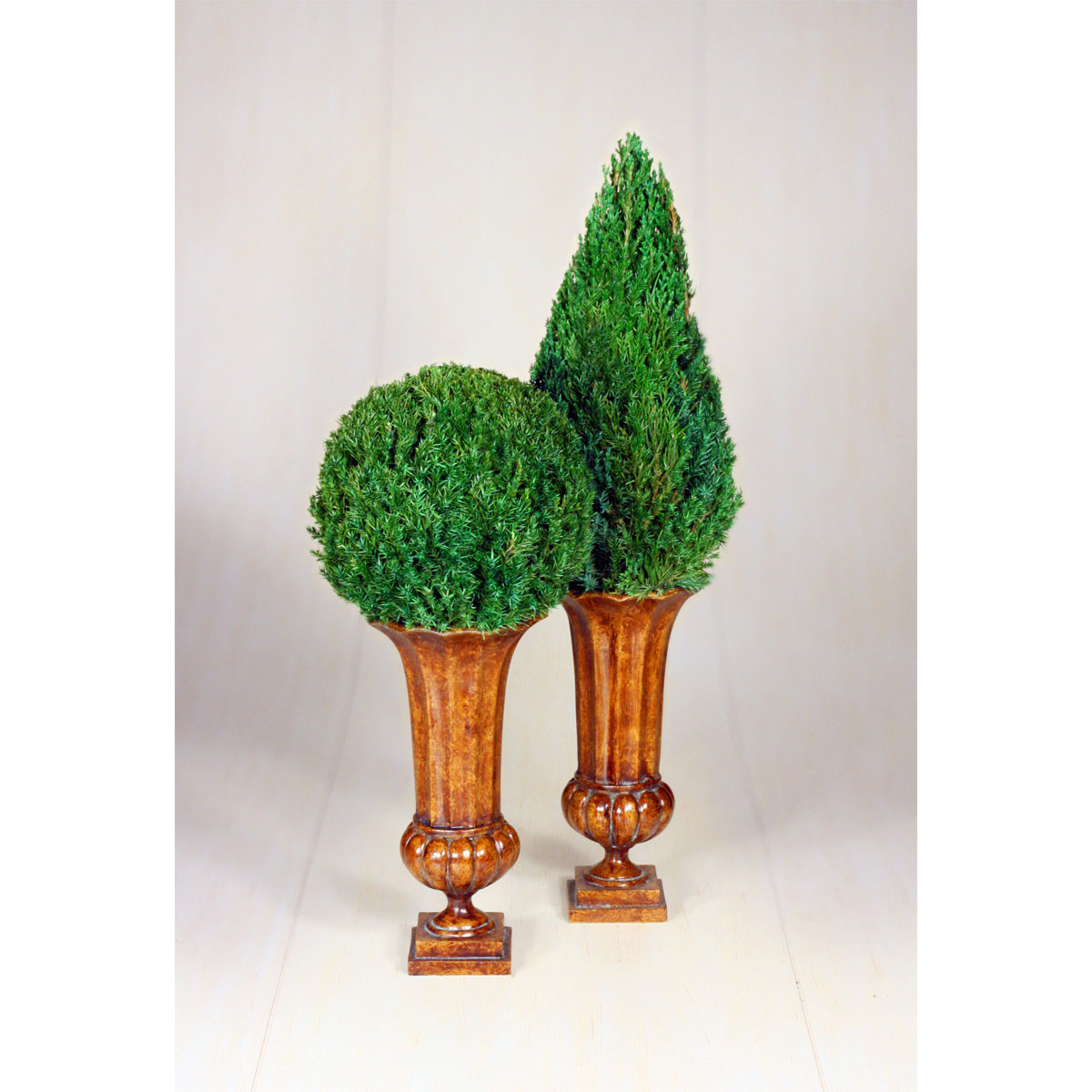 Preserved Mantle Top Juniper Cone Topiary