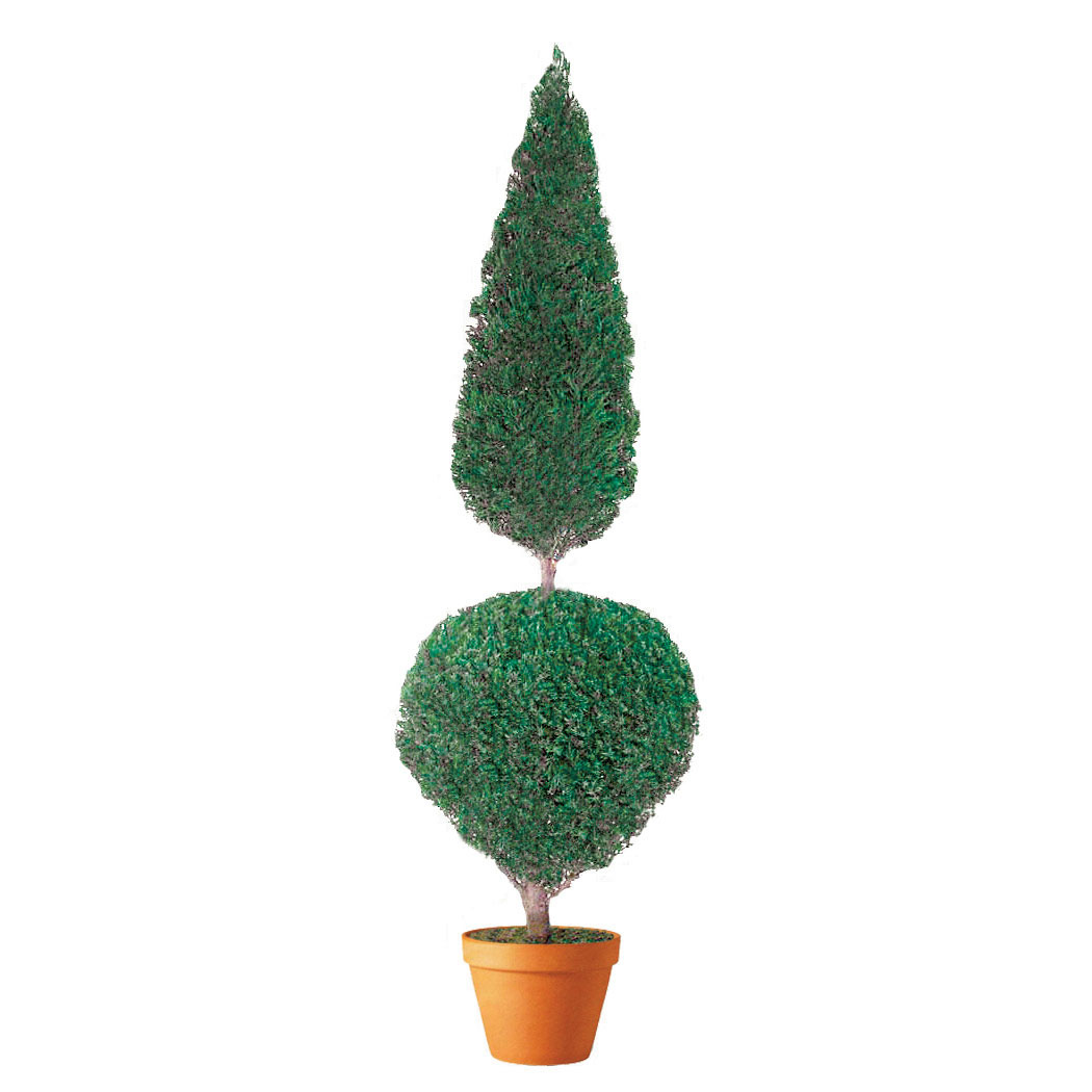 Preserved Ball Cone Topiary