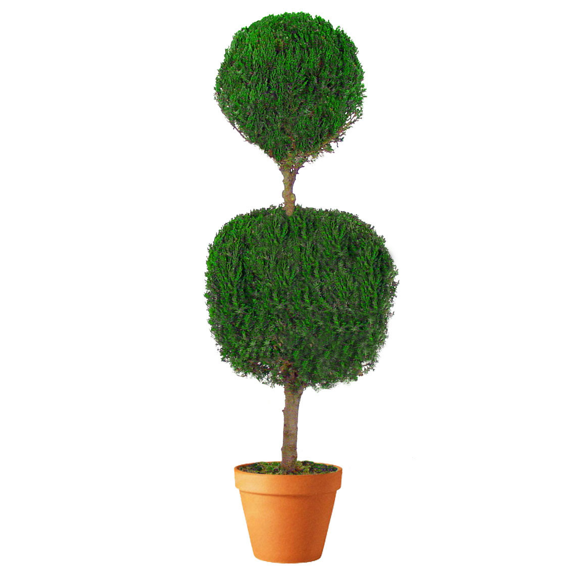 Preserved Double Ball Topiary - FGA3007 - Topiary Decorate your home or office with a preserved doub sku FGA3007