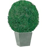 Preserved Globe Topiary