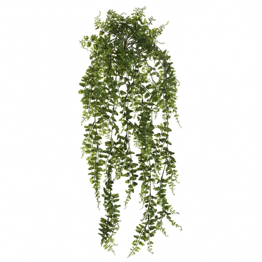 30 inch Buckler Fern Hanging Vine