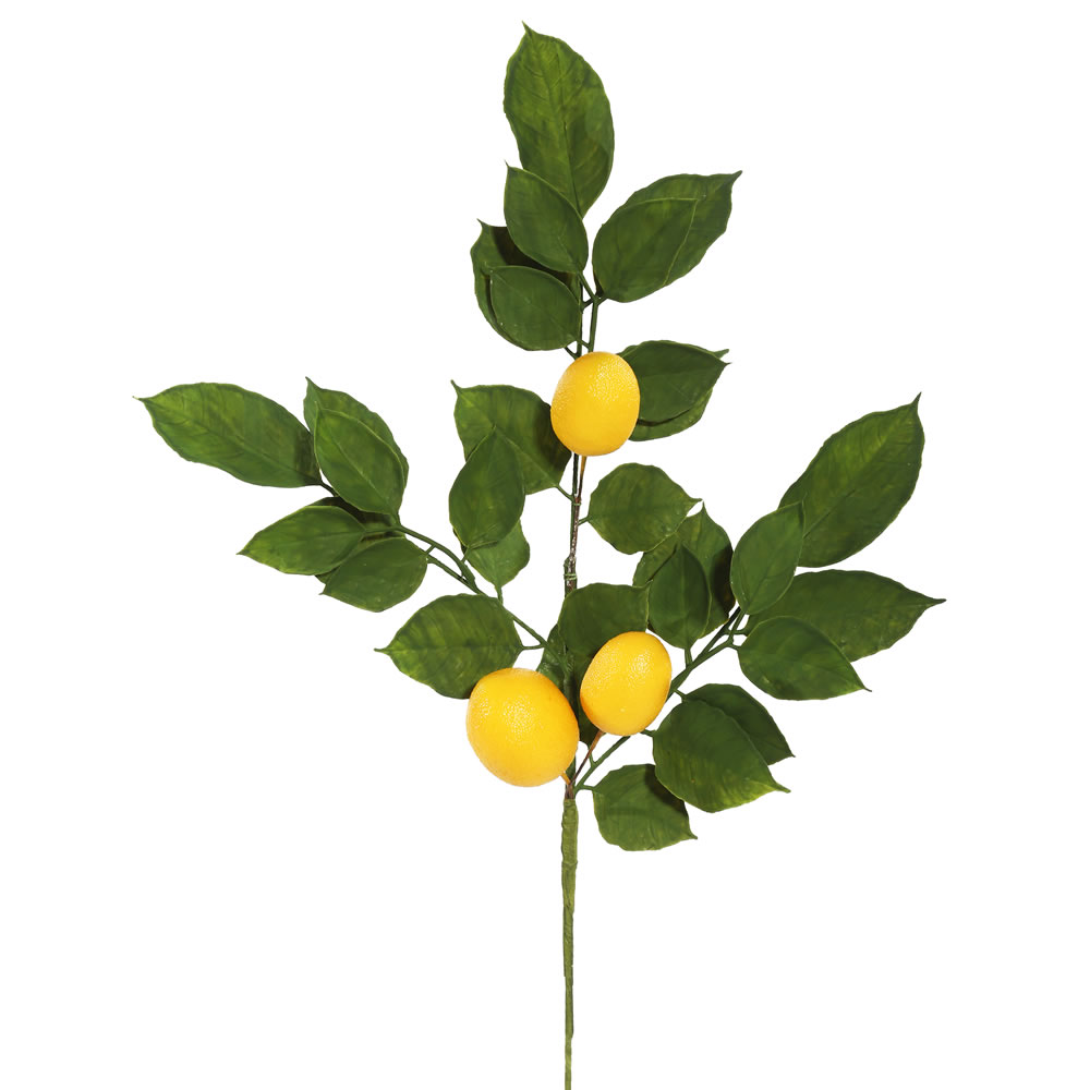 20 inch Salal Leaf Lemon Branch (Set of 6) FK170701