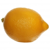 2.9 inch Yellow Lemons (Set of 12)