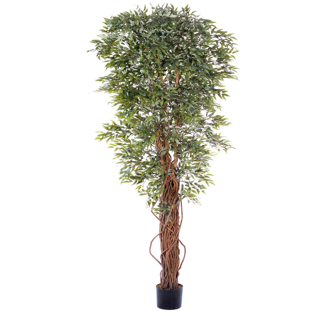 FRI1095 7 foot Ruscus Tree: Potted - OVERSTOCK sku FRI1095