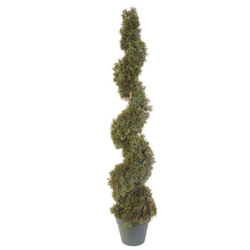 4 Foot Cedar Spiral Topiary: Potted