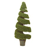 5 foot Boxwood Spiral Topiary