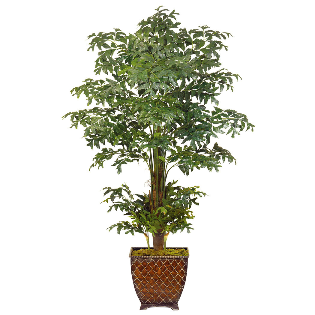 8 foot Fishtail Palm: Unpotted - OVERSTOCK