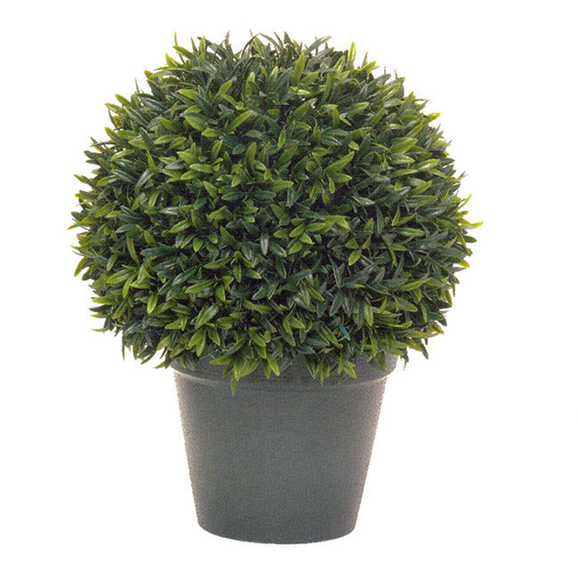 10 inch Podocarpus Ball Topiary: Potted - OVERSTOCK | 3396