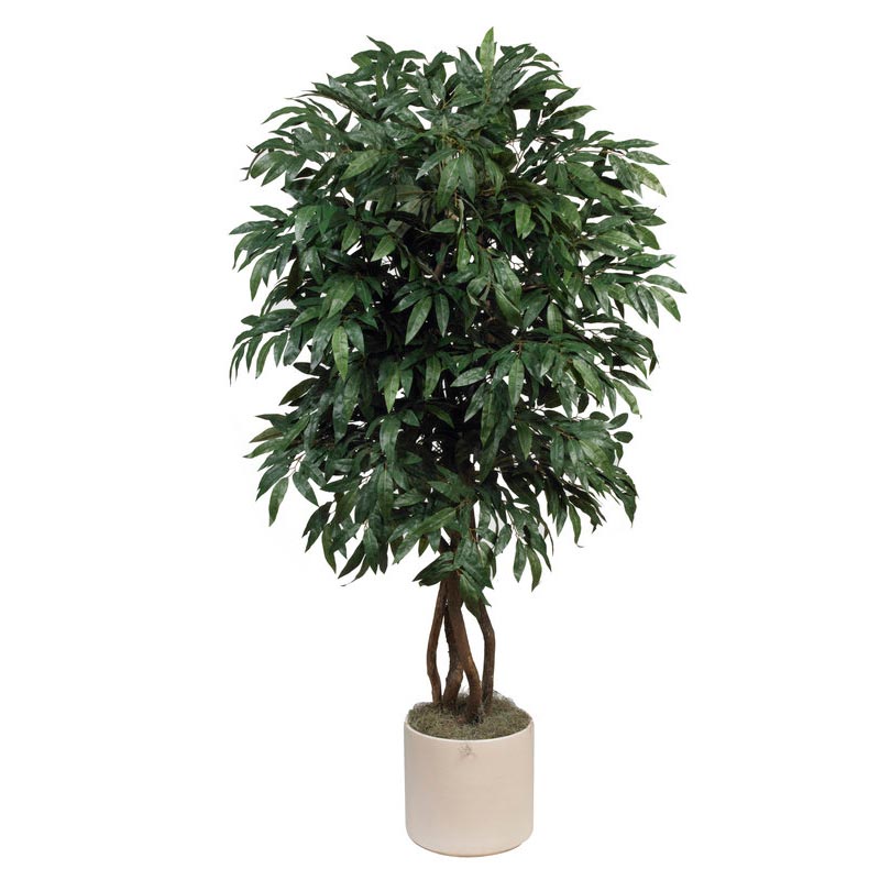 6 foot Silk Mango Tree with Natural Trunks: Potted