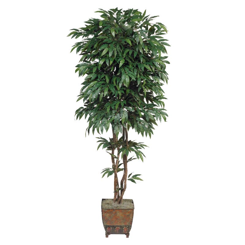 FRI2146 7 foot Silk Mango Tree with Natural Trunks: Potted sku FRI2146