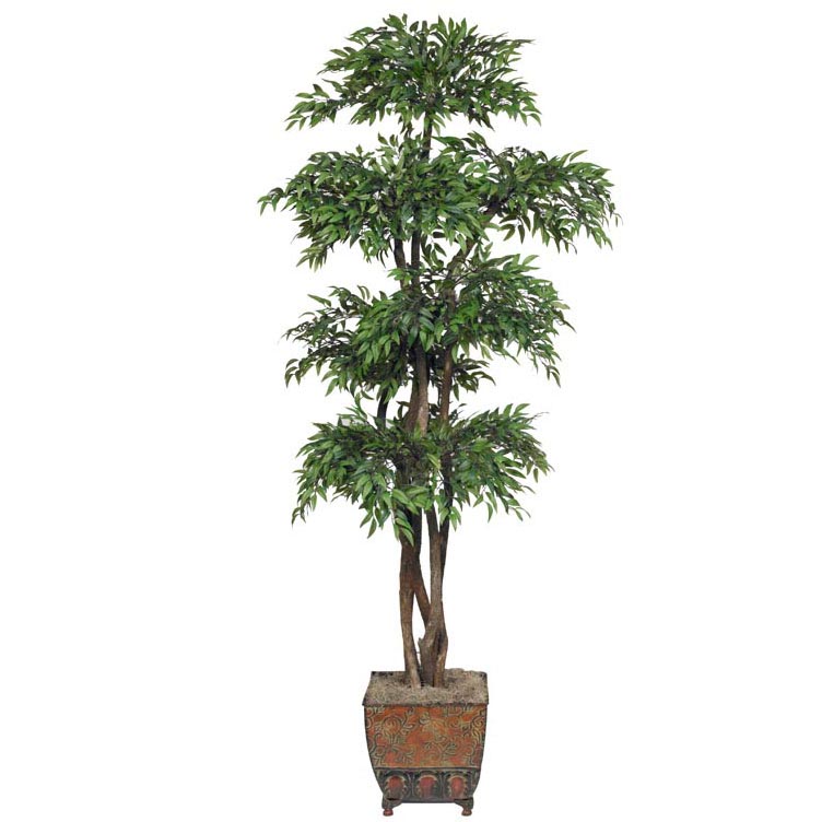 6.5 Foot Silk Ruscus Tree With Natural Trunks: Potted